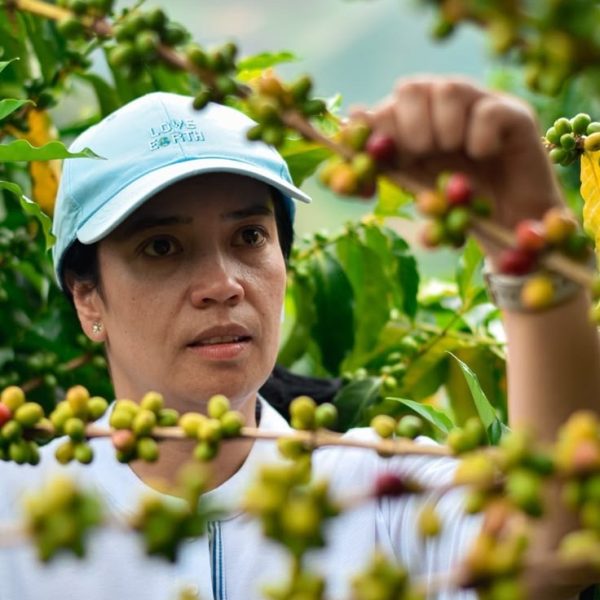 Colombia Las Flores